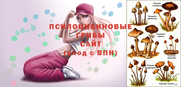 эйфоретик Верея